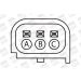BorgWarner (BERU) Zündspule ZS387 BorgWarner (BERU) Zündspule ZS387