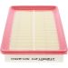 CHAMPION Luftfilter CAF100851P CHAMPION Luftfilter CAF100851P