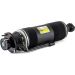 Arnott Luftfederbein HA li SK-2415 Arnott Luftfederbein HA li SK-2415