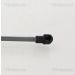 Gasfeder, Koffer-/Laderaum 871038248 Gasfeder, Koffer-/Laderaum 871038248