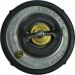 Thermostat Ford Zetec 1,4/1,6 1712228