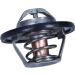 Thermostat, Kühlmittel 352317100760