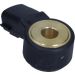 Klopfsensor 108119