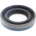 Wellendichtring, Differential 49376368