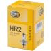 HELLA Glühlampe 8GD 002 088-141 HELLA Glühlampe 8GD 002 088-141