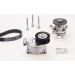 CONTINENTAL CTAM Wasserpumpe + Keilrippenriemensatz 6PK1306WP1 CONTINENTAL CTAM Wasserpumpe + Keilrippenriemensatz 6PK1306WP1