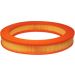 FILTRON Luftfilter AR 210