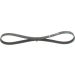 Keilrippenriemen FORD,MAZDA,VOLVO Elastic 1987946121 Keilrippenriemen FORD,MAZDA,VOLVO Elastic 1987946121