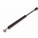 Gasfeder, Koffer-/Laderaum 12-0068