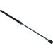 Gasfeder, Koffer-/Laderaum 12-0253