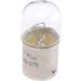 R5W 24V 5W TRUCK LIGHT BOSCH KFZ-GLUEHLAMPE Trucklight WS 1987302510
