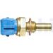 DELPHI Temperatursensor TS10250