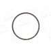 Sensorring ABS MERCEDES NEW MOBILITY PARTS 55412