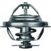 Thermostateinsatz mit Dichtung TX 20 80D