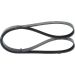 Keilrippenriemen PEUGEOT,OPEL,KIA,RENAULT 1987948389 Keilrippenriemen PEUGEOT,OPEL,KIA,RENAULT 1987948389