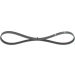 Keilrippenriemen BMW,FIAT Elastic 1987946127 Keilrippenriemen BMW,FIAT Elastic 1987946127