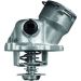 Kennfeldthermostat mit Dichtung TM 29 100D Kennfeldthermostat mit Dichtung TM 29 100D