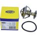 Thermostat, Kühlmittel 352317101620