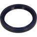 Wellendichtring Kurbelwelle 81-53284-00 Wellendichtring Kurbelwelle 81-53284-00