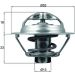 Thermostateinsatz mit Dichtung RENAULT Clio/Megane 05 BEHR TX 175 95D