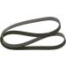 Keilrippenriemen VW,HONDA,FORD,MERCEDES 1987947995 Keilrippenriemen VW,HONDA,FORD,MERCEDES 1987947995