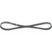 Keilrippenriemen Diverse Elastic 1987946107 Keilrippenriemen Diverse Elastic 1987946107