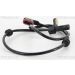 Sensor, Raddrehzahl 818023413