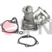 JPN Wasserpumpe 10C5049-JPN JPN Wasserpumpe 10C5049-JPN
