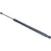 Gasfeder, Hinten L 627 670N 291611 Gasfeder, Hinten L 627 670N 291611
