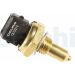 DELPHI Temperatursensor TS10270
