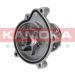 KAMOKA Wasserpumpe T0182 KAMOKA Wasserpumpe T0182