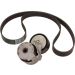 Satz Multi-Roved Gürtel. Dacia/Nissan/Renault 117203694R Satz Multi-Roved Gürtel. Dacia/Nissan/Renault 117203694R