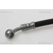 Bremsschlauch 815021102