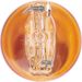 Bosch Automotive Birne 1987302222 Pure Light WS