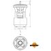 Thermostat, Kühlmittel 725133 Thermostat, Kühlmittel 725133