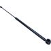 Gasfeder, Vorne L 663.5 315N 874029 Gasfeder, Vorne L 663.5 315N 874029