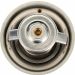 Thermostat, Kühlmittel TH14387G1
