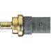 DELPHI Temperatursensor TS10278