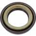 Wellendichtring, Differential 19037089B