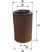 FILTRON Luftfilter AM 455 FILTRON Luftfilter AM 455