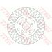 40 481 066 Bremsscheibe VA DF6522 40 481 066 Bremsscheibe VA DF6522