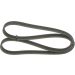 Keilrippenriemen SEAT,VW 1987946211