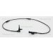 Sensor, Raddrehzahl 818010320