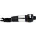 ARNOTT Fahrwerksfeder AS-2246 ARNOTT Fahrwerksfeder AS-2246