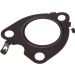 Dichtung, Turbineneinlass (Lader) 441-507