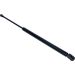 Gasfeder, Koffer-/Laderaum 12-0346