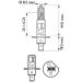 H1 12V 55W P14,5s WhiteVision Ultra 1 Stück Philips 12258WVUB1 H1 12V 55W P14,5s WhiteVision Ultra 1 Stück Philips 12258WVUB1