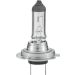 HELLA Glühlampe, Nebelscheinwerfer 8GH 007 157-121 STANDARD