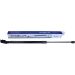 Gasfeder, Hinten links L 527 555N NISSAN Murano 11/04-06/08 LIFT-O-MAT® 3391XU Gasfeder, Hinten links L 527 555N NISSAN Murano 11/04-06/08 LIFT-O-MAT® 3391XU