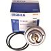 Thermostateinsatz mit Dichtung TX 18 83D Thermostateinsatz mit Dichtung TX 18 83D